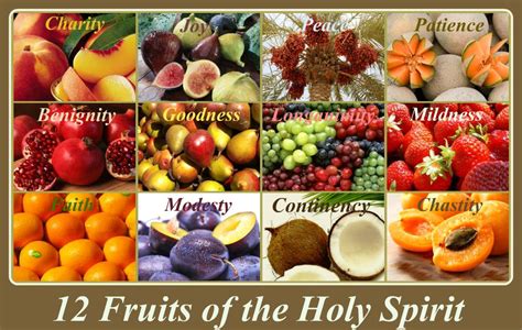 12 fruits of the holy spirit and their meanings|12 Fruits Of The Holy Spirit And Their Meanings .